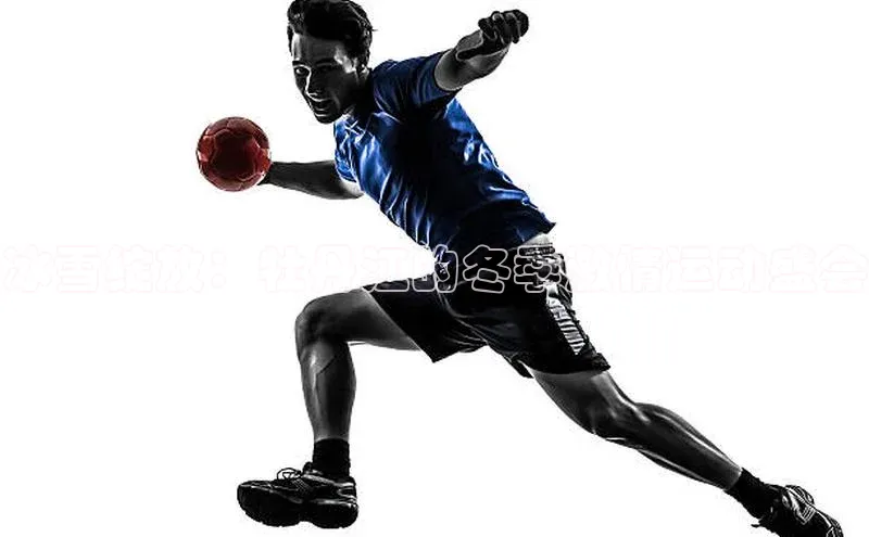 Vsport体育官方网站入口