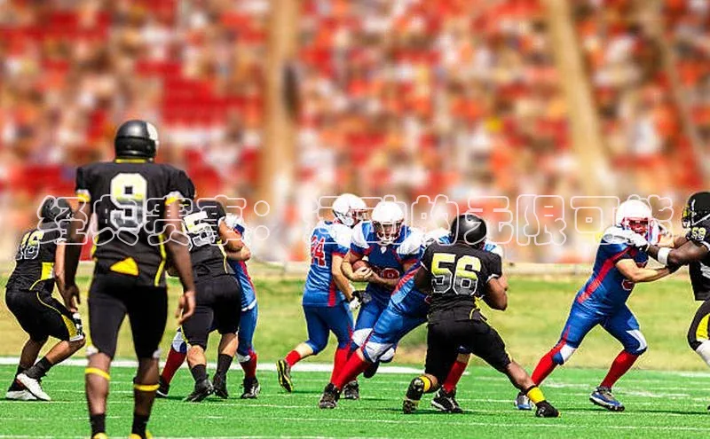 Vsport体育官方网站入口